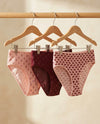 Dominant Turkish Cotton Plus Size Comfort Briefs – Pack of 3 – Blush Garnet