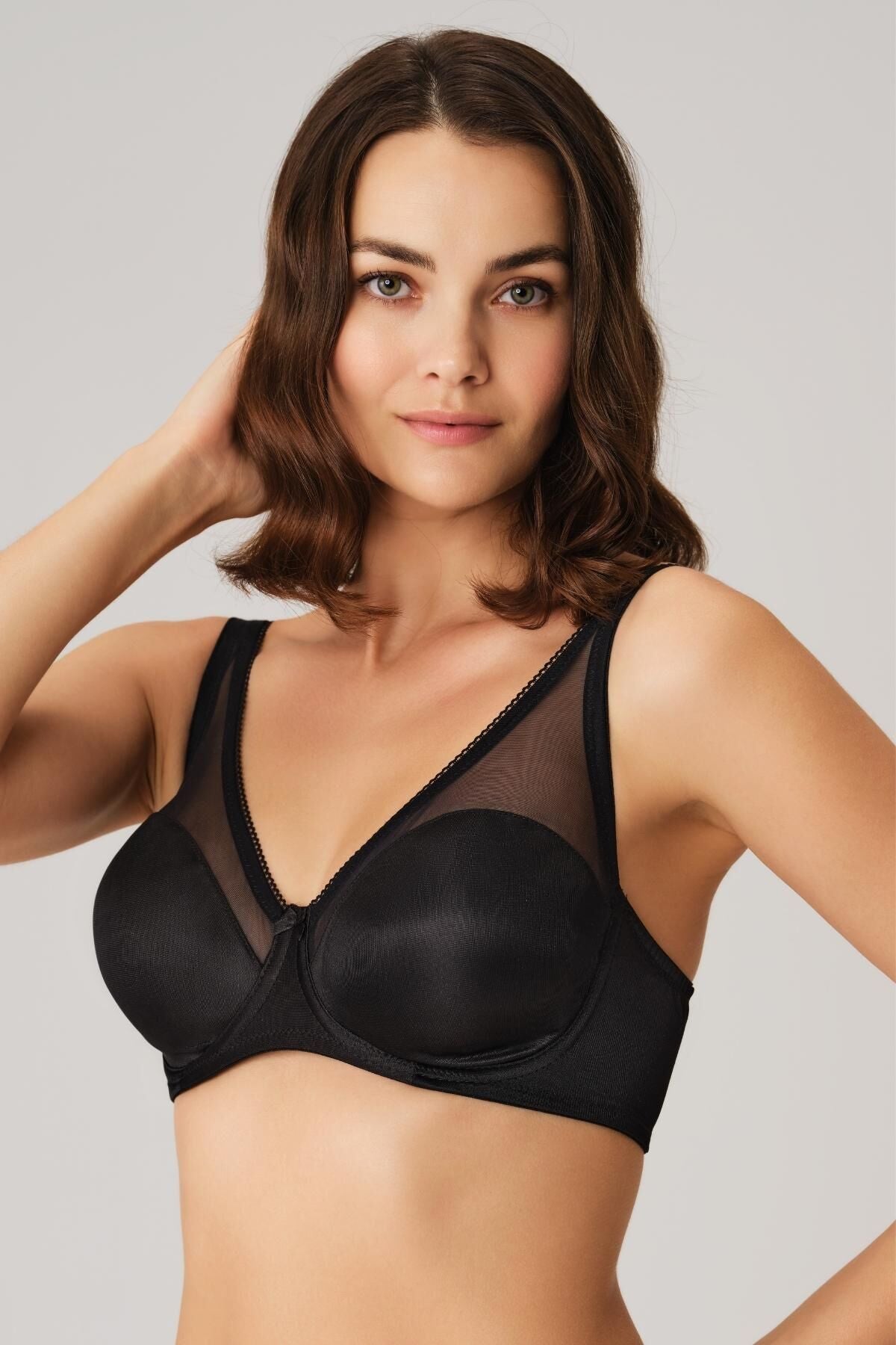 Anil Bra-3592